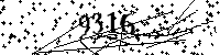 Please type the letters and numbers as seen