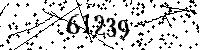 Please type the letters and numbers as seen