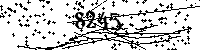 Please type the letters and numbers as seen