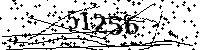 Please type the letters and numbers as seen