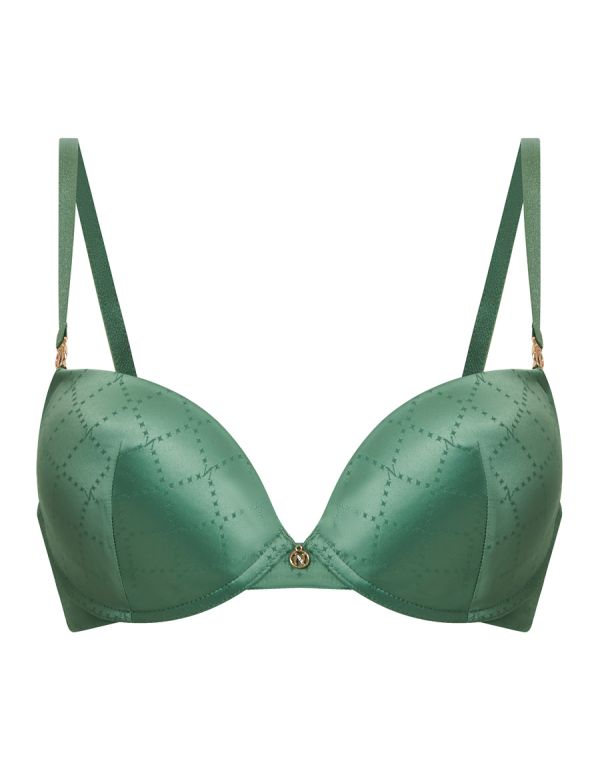 Plunge Bra