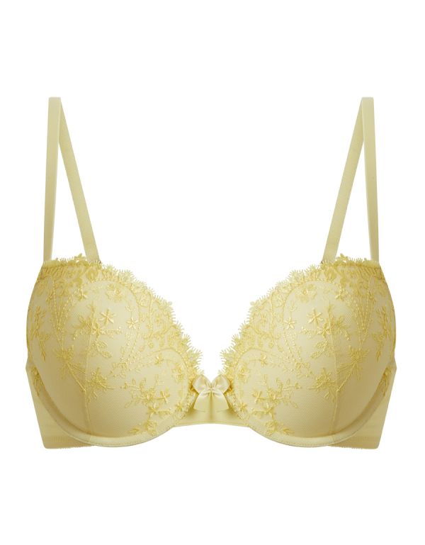 Plunge Bra