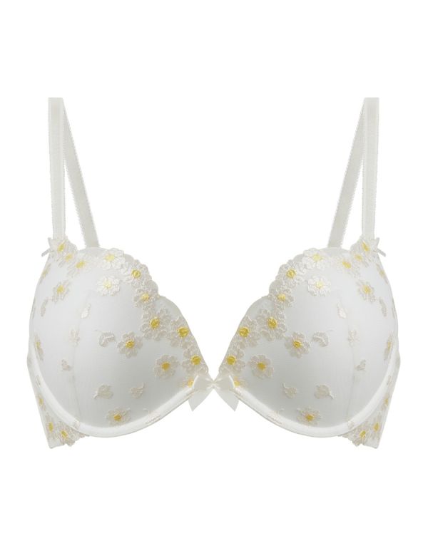 Push-Up Plunge Bra