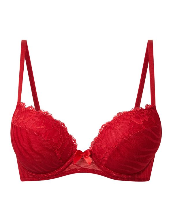 Double Push-Up Plunge Bra