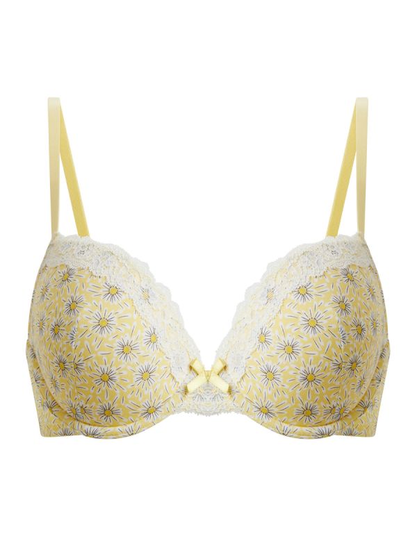 Plunge Bra