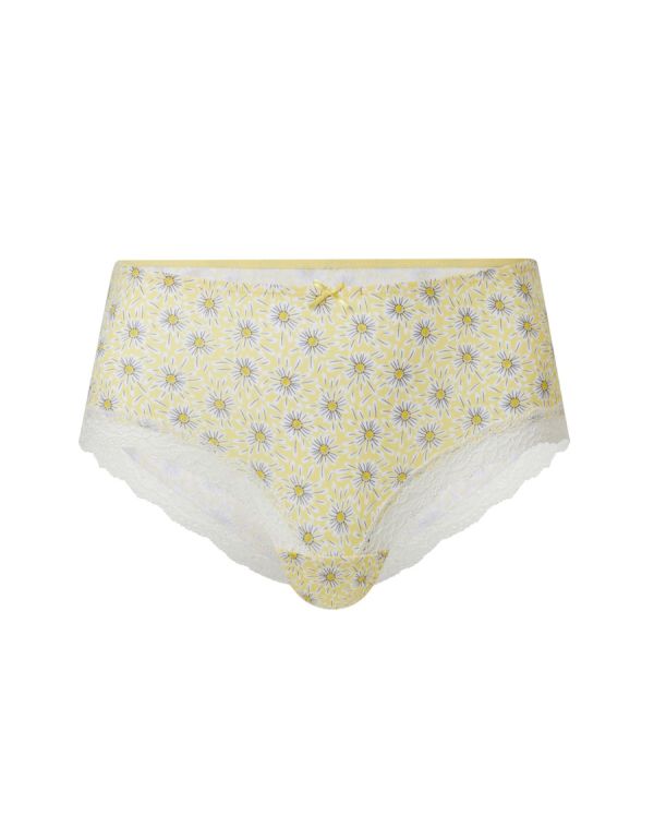 Boxer