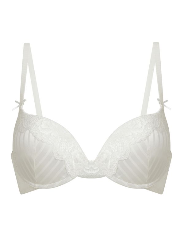 Plunge Bra